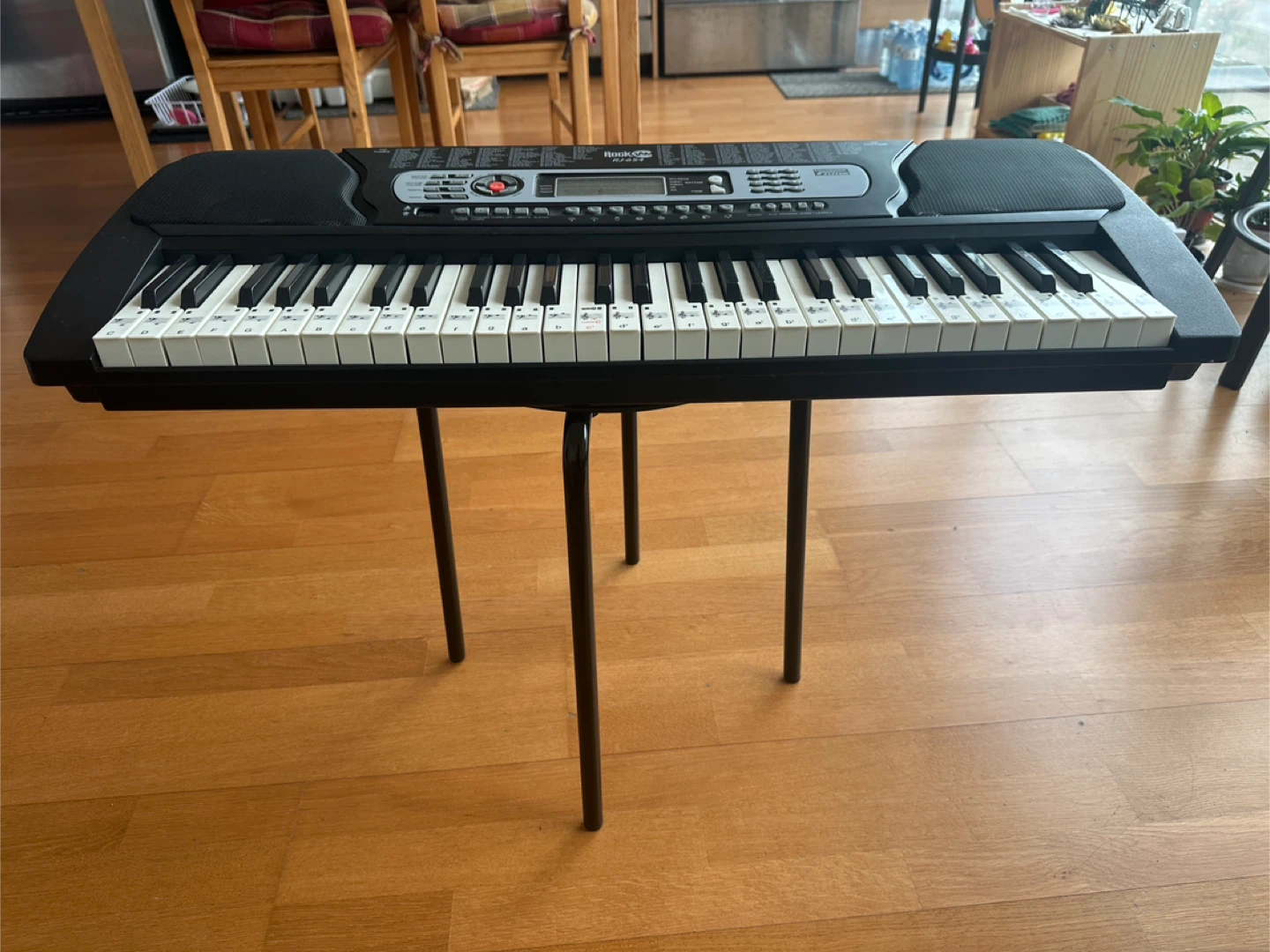 55 key PIANO: RockJam RJ654 Keyboard