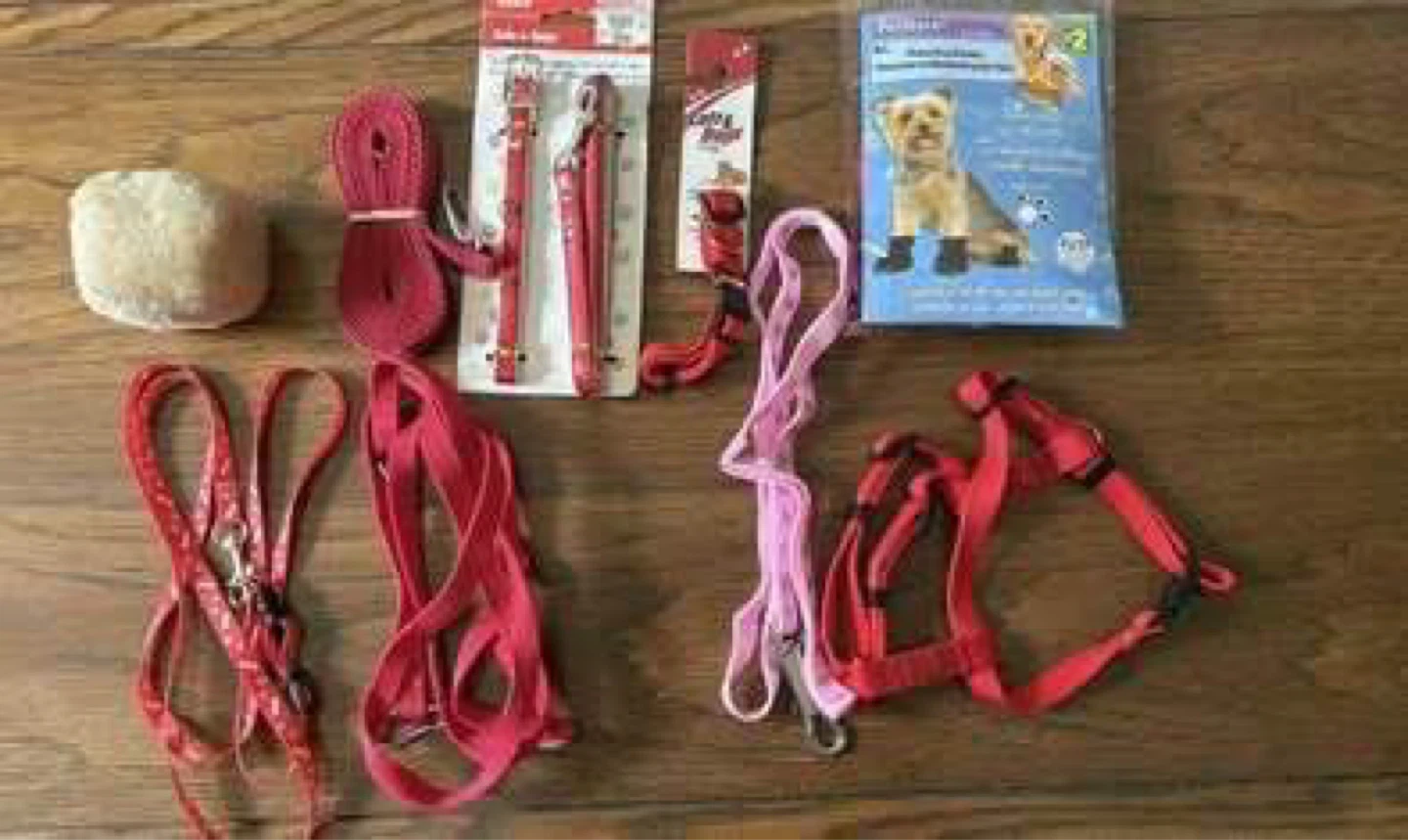 Dog leashes, collars, etc (All new) (All FREE)
