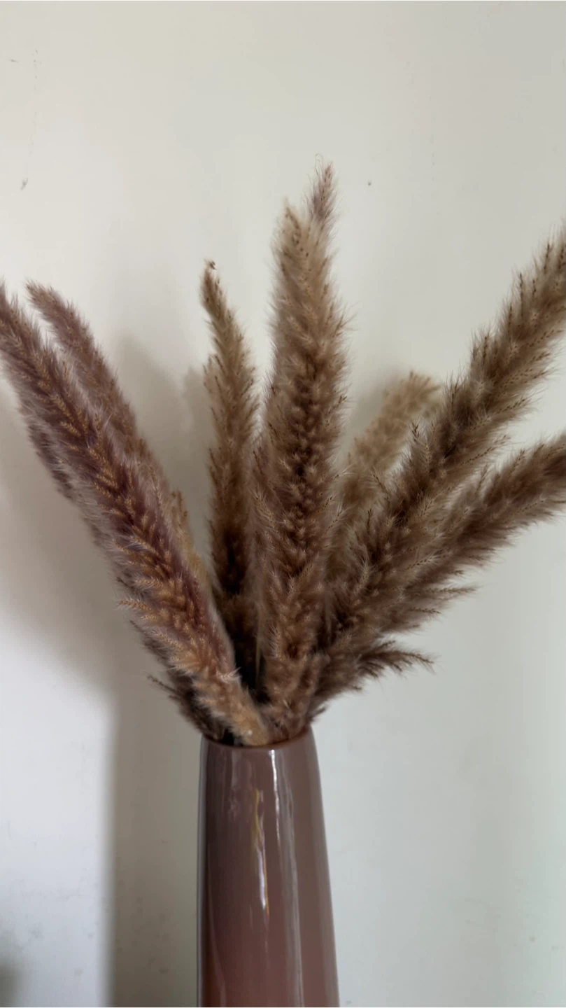 Brown Ceramic Tall Vase with Dried Pampas Grass - photo 2