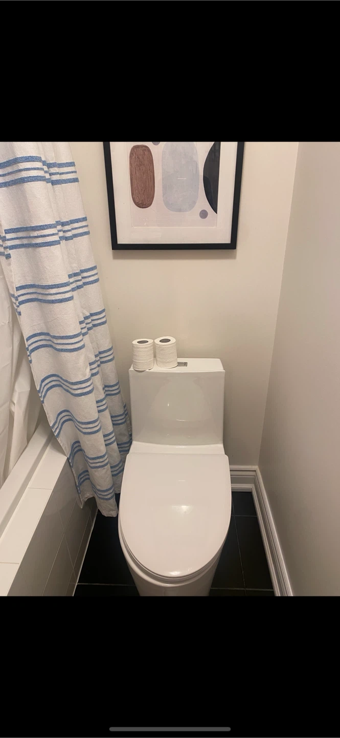 OVE Kane 1-piece Toilet - photo 3