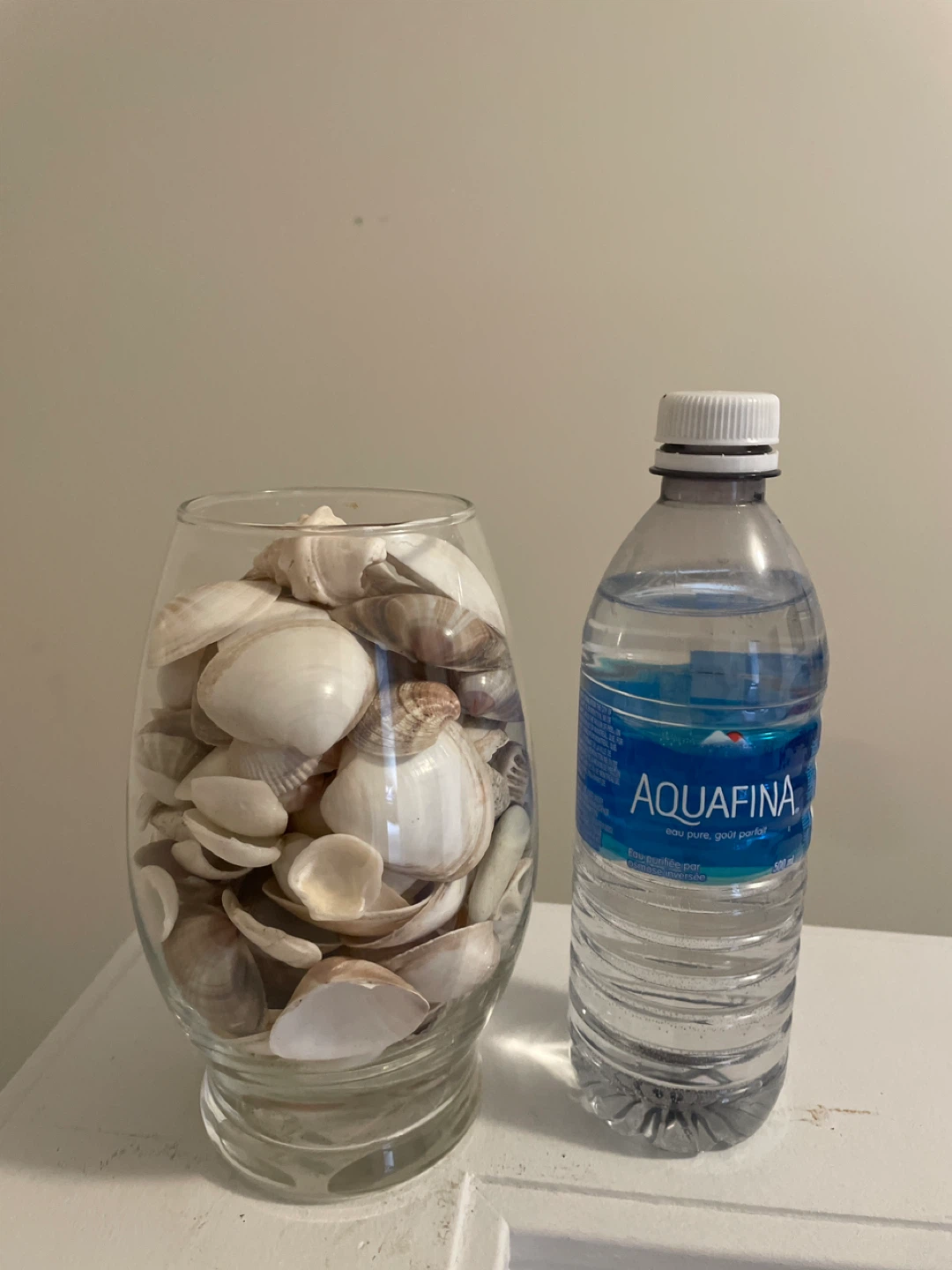 Decorative Seashells in Glass Vase - photo 2