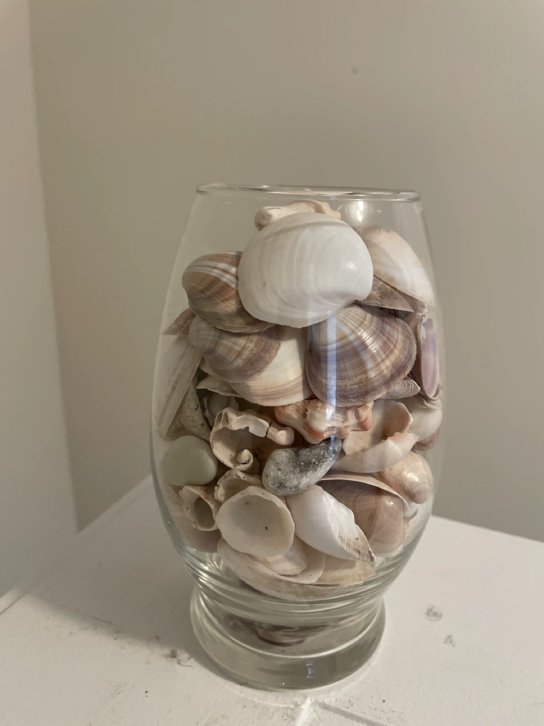 Decorative Seashells in Glass Vase