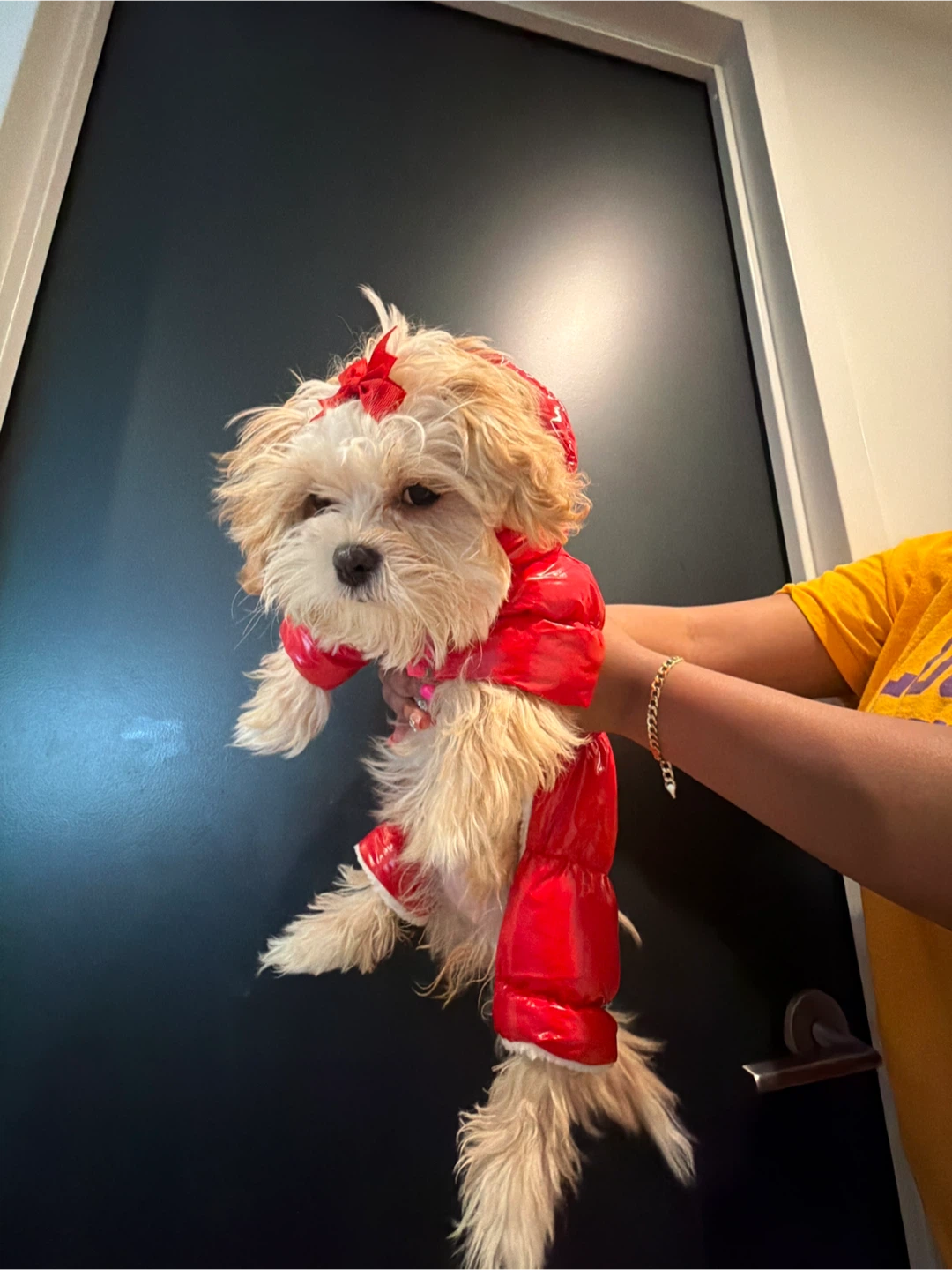 Red Shiny Puffer Dog Winter Coat - photo 4