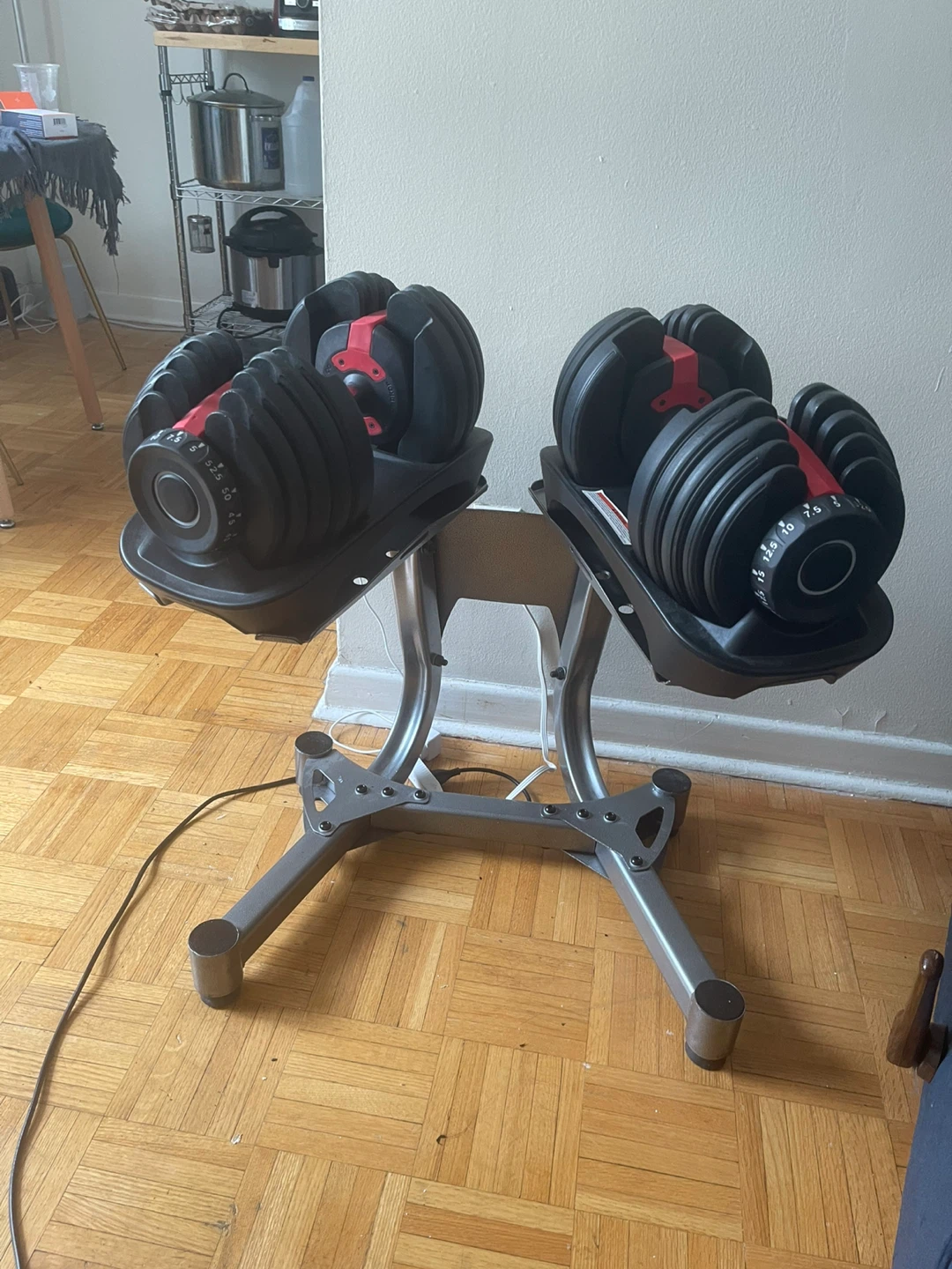 Adjustable Dumbbell Set with Stand