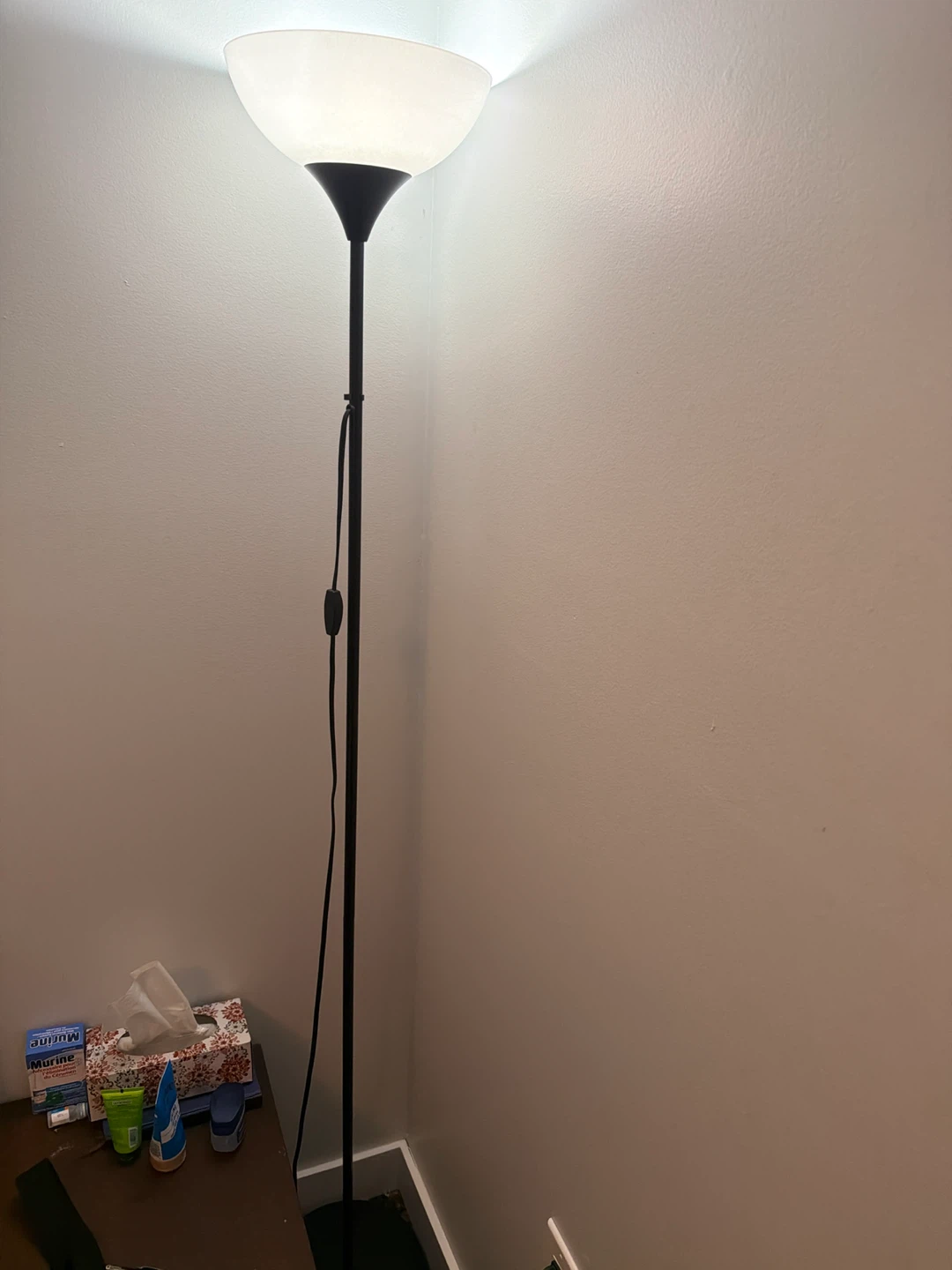 Black Floor Lamp