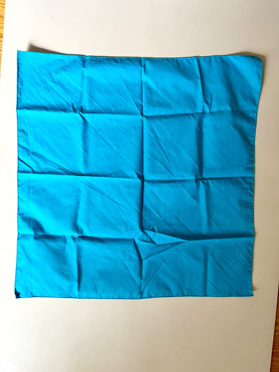 Philosophy Bandana Blue - photo 3