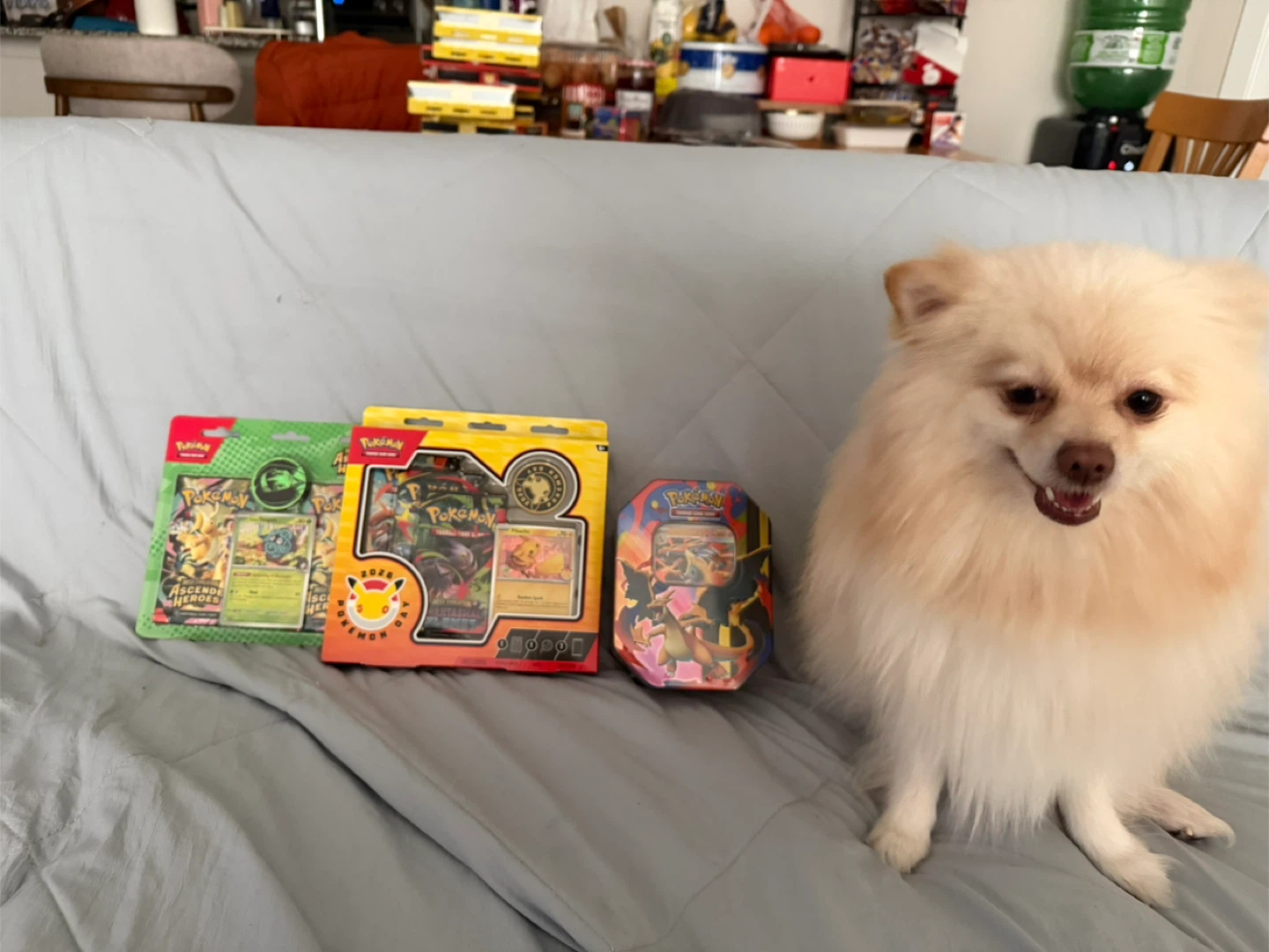Pokemon Trading Card Game Booster Packs and Tins