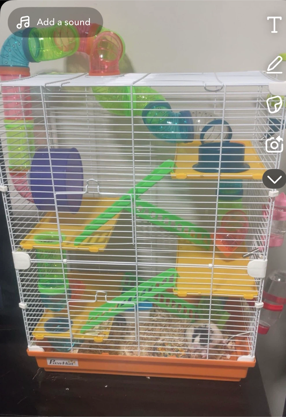 Hamster Cage with Tubes and Accessories