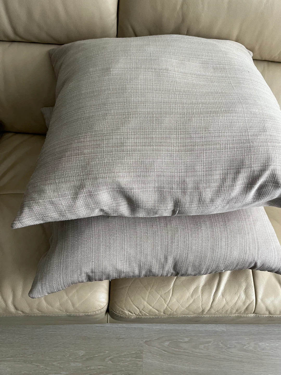 Set of 2 Decorative Throw Pillows