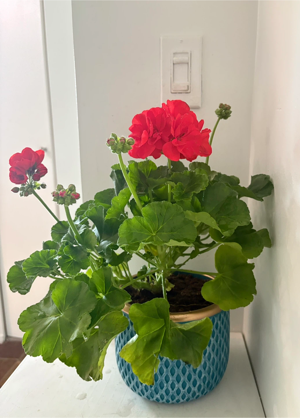 🌺Bring a touch of spring into your home 🌺 - photo 2