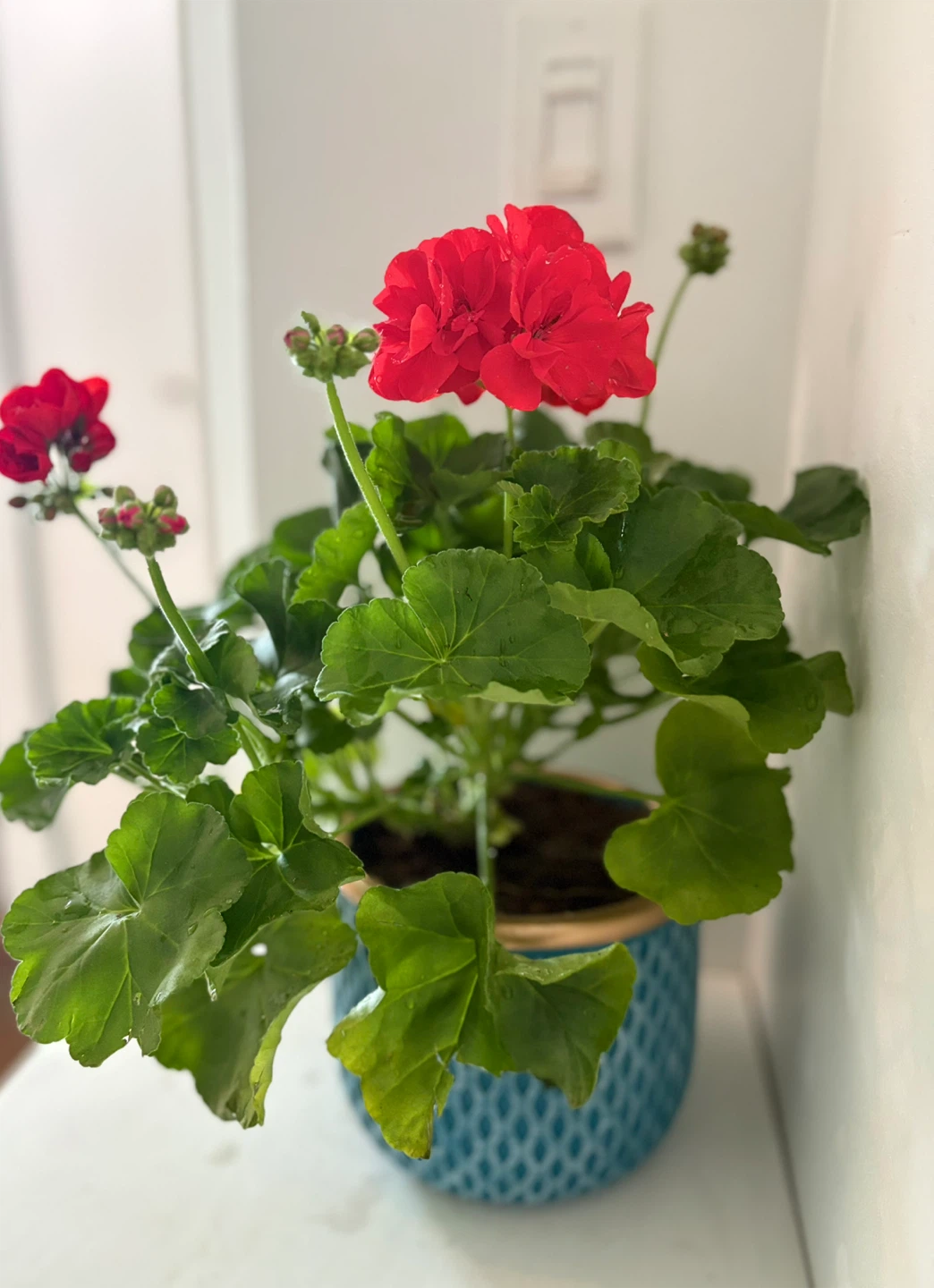 🌺Bring a touch of spring into your home 🌺 - photo 3