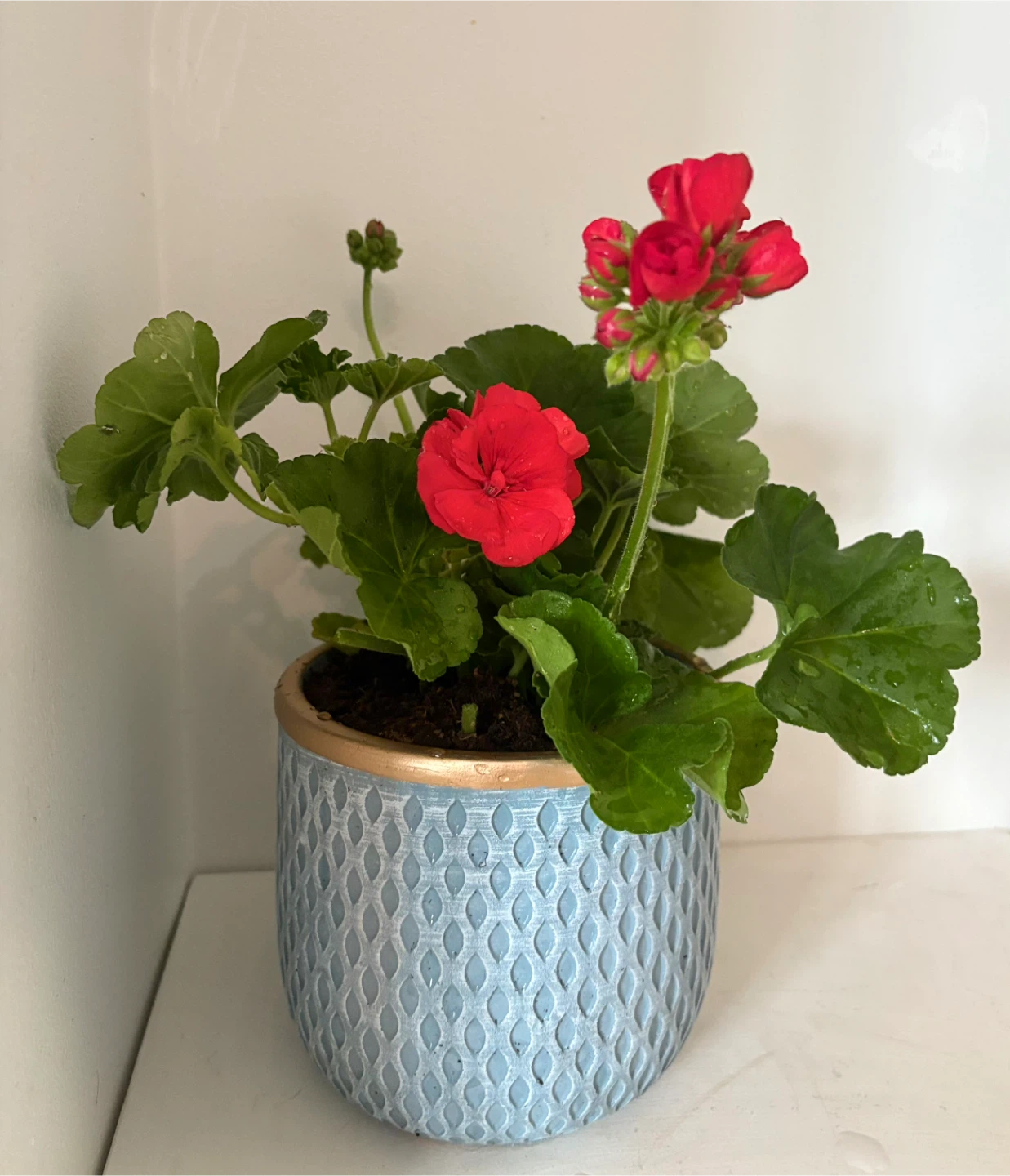 🌺Bring a touch of spring into your home🌺 - photo 3