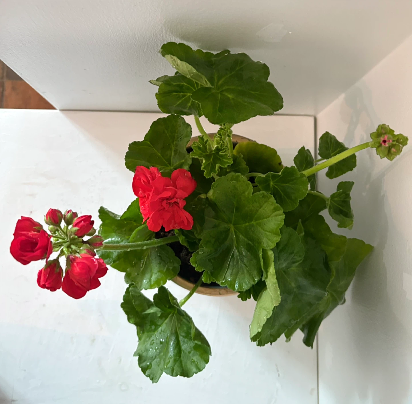 🌺Bring a touch of spring into your home🌺 - photo 2