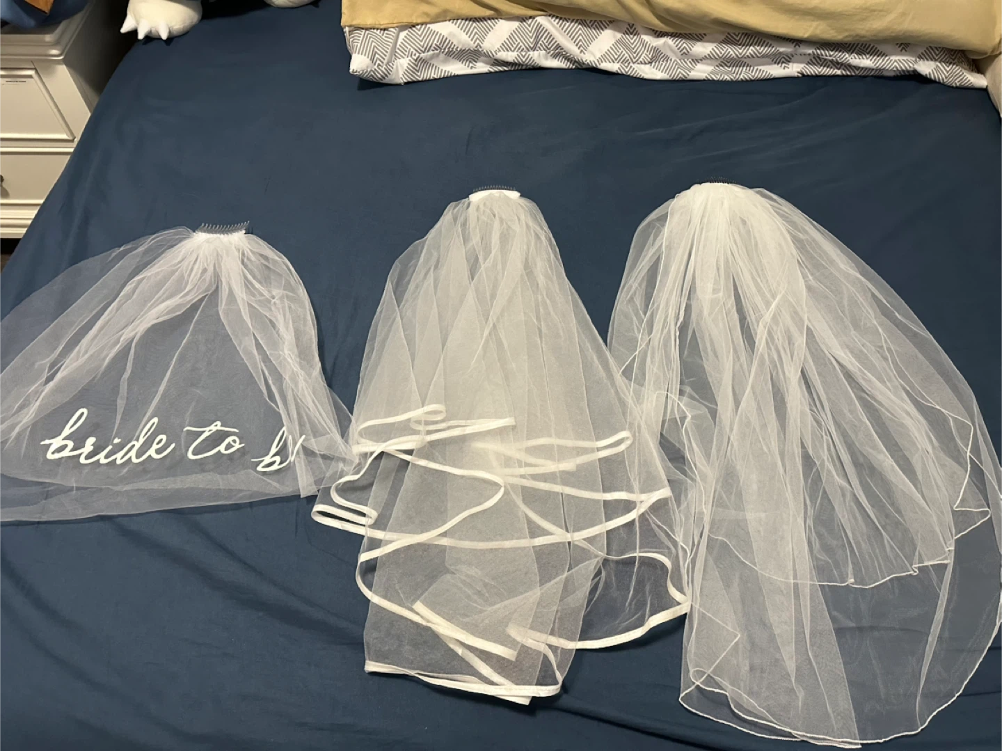 Bride to Be Veil