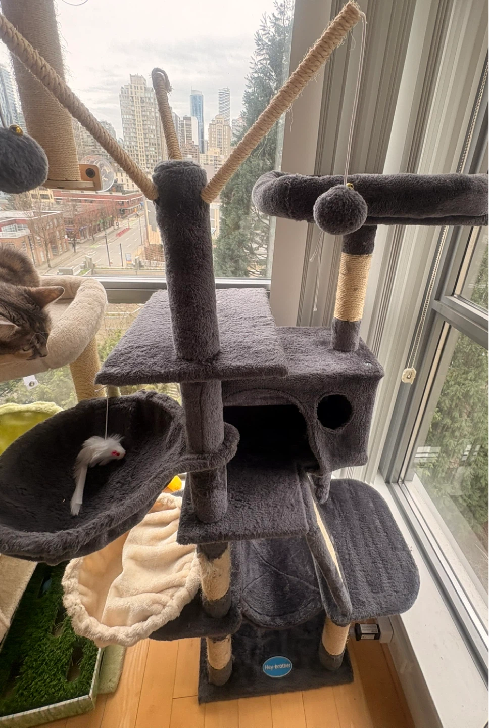 Multi-level Cat Tree Condo 🥕