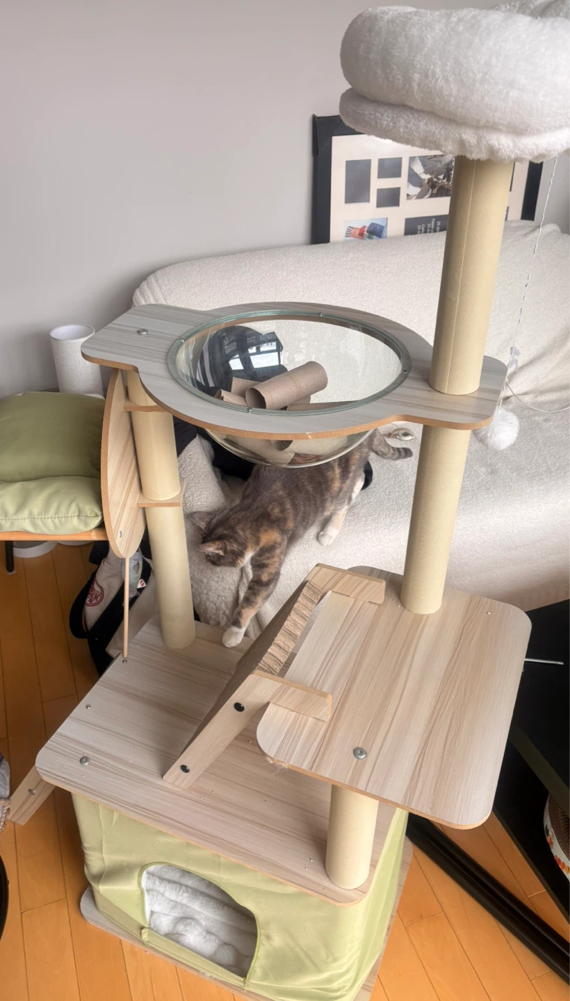 Wooden Cat Tree with Bowl and Condo