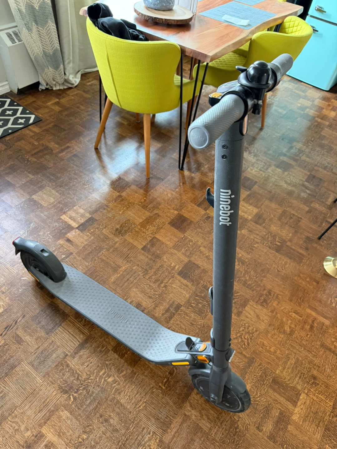 Segway Ninebot E25A Electric Scooter