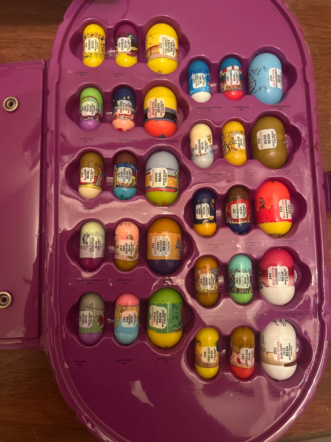 Mighty Beanz Collector's Case - photo 3