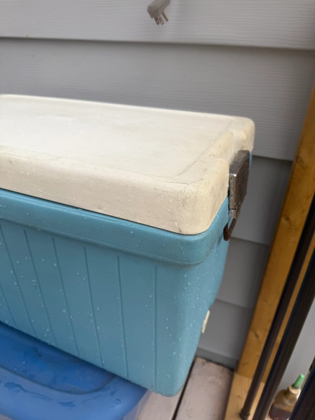 Coleman Blue Cooler