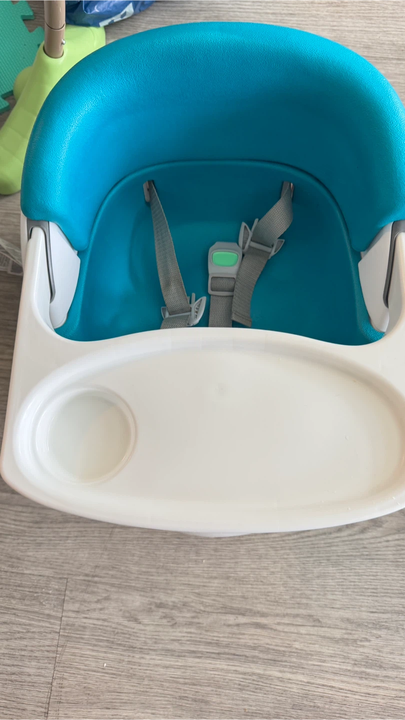 Ingenuity Baby Booster Seat with Tray
