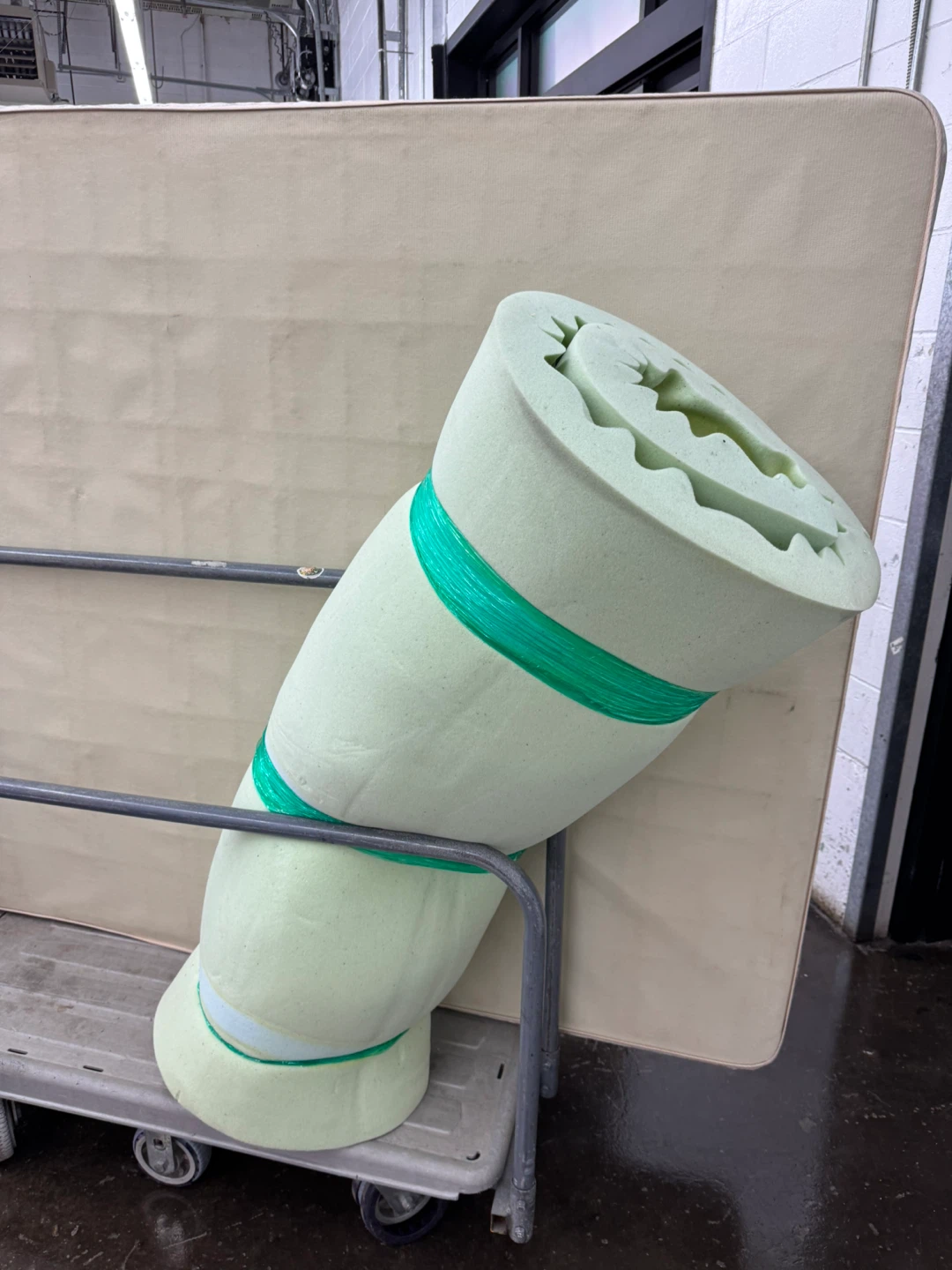 Queen Rolled Foam Topper