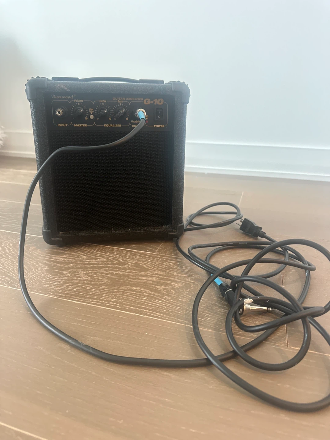 Burswood G-10 Guitar Amplifier
