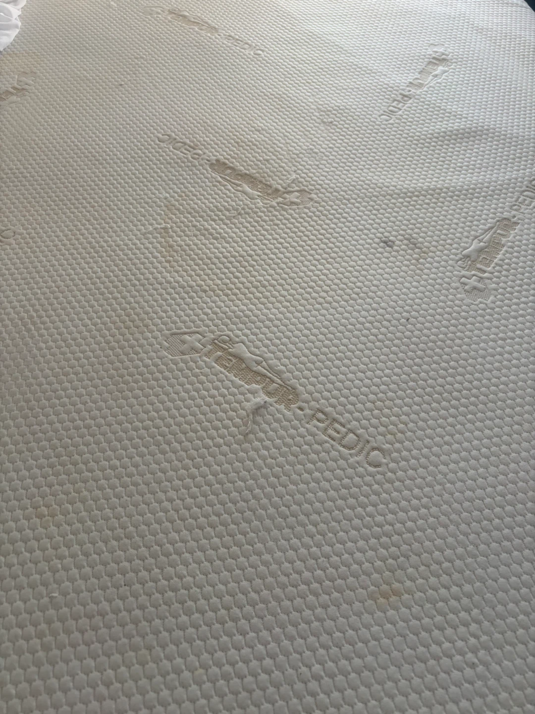 Queen Size Tempur-Pedic Mattress & Bed Frame - photo 3