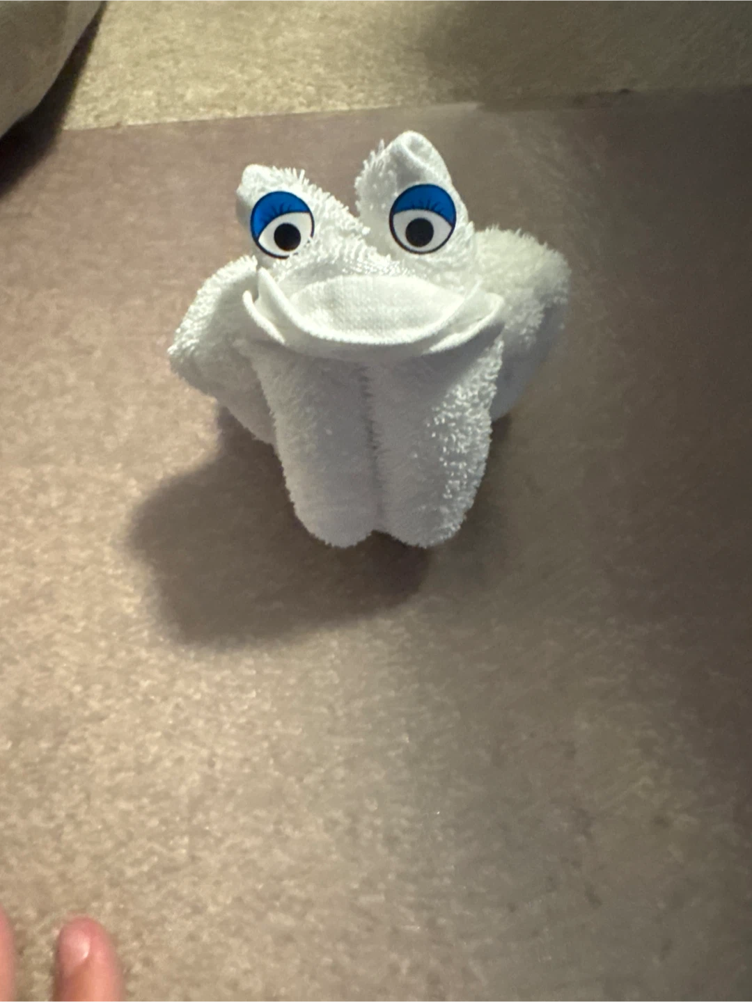 White Towel Frog from cruise - photo 3
