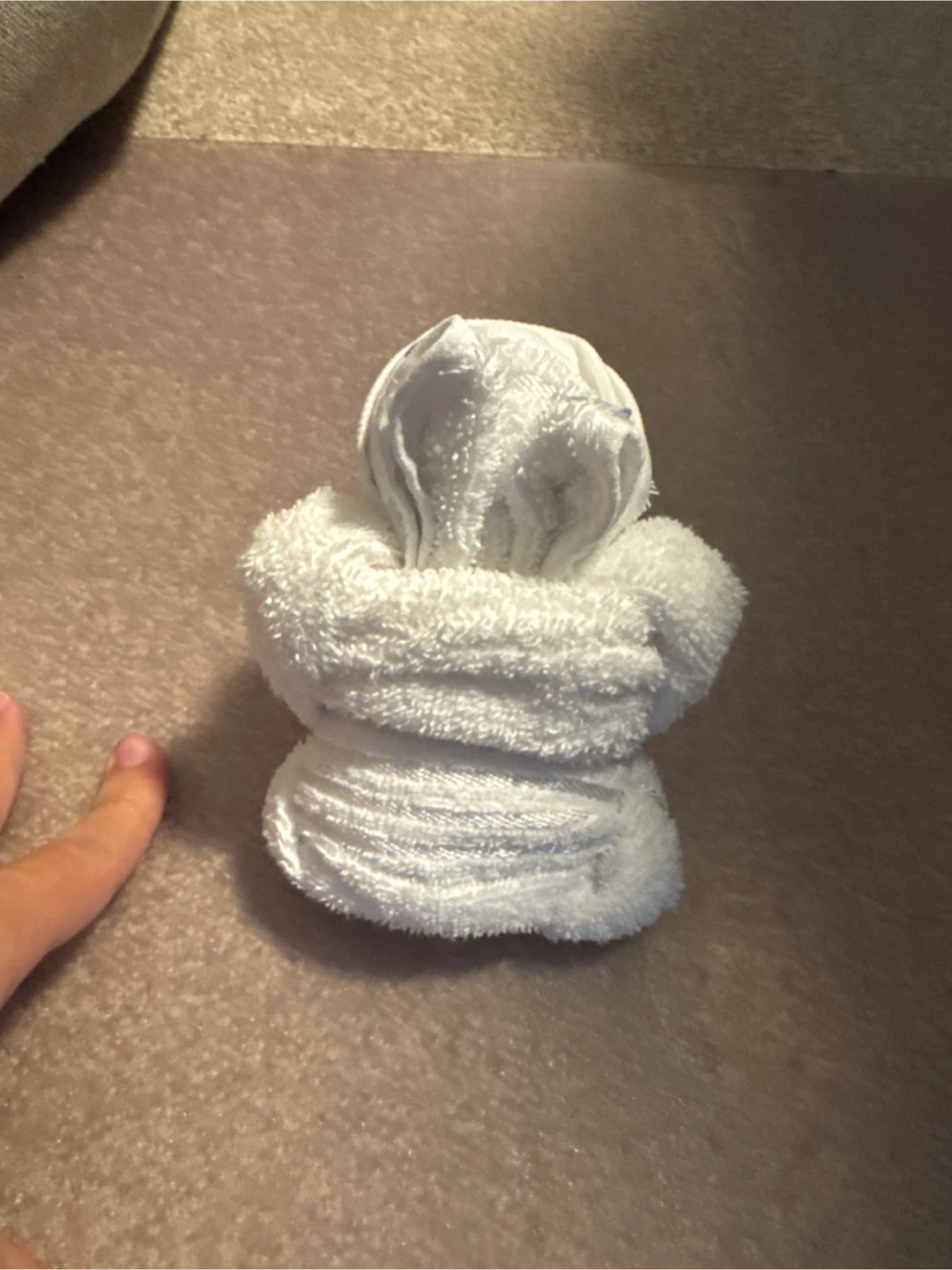 White Towel Frog from cruise - photo 2