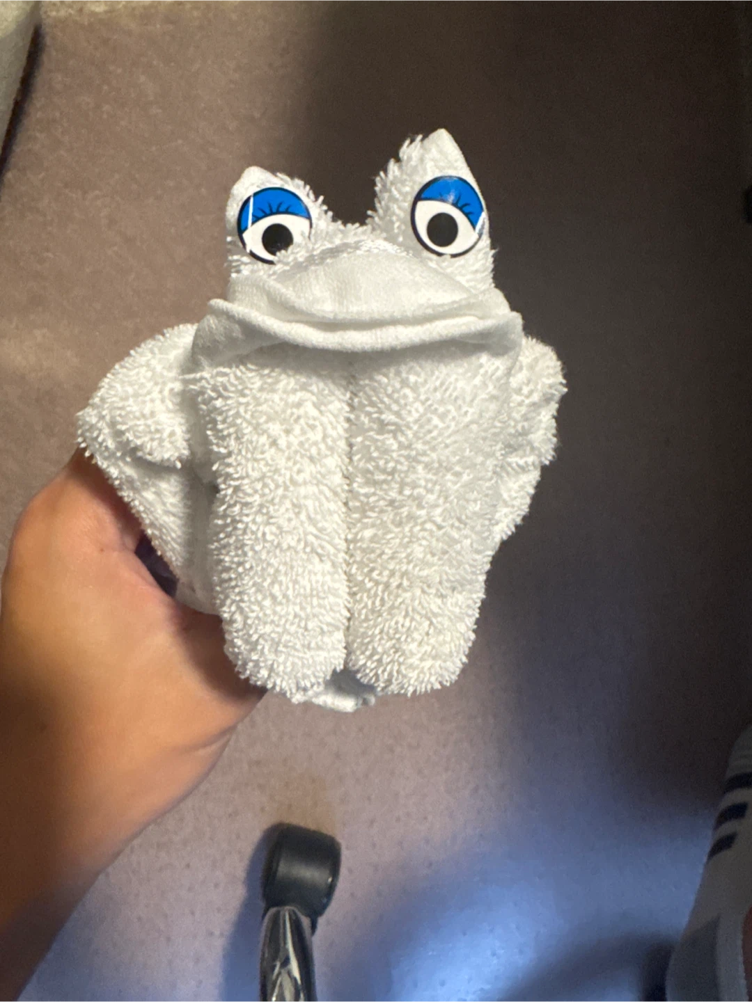 White Towel Frog from cruise
