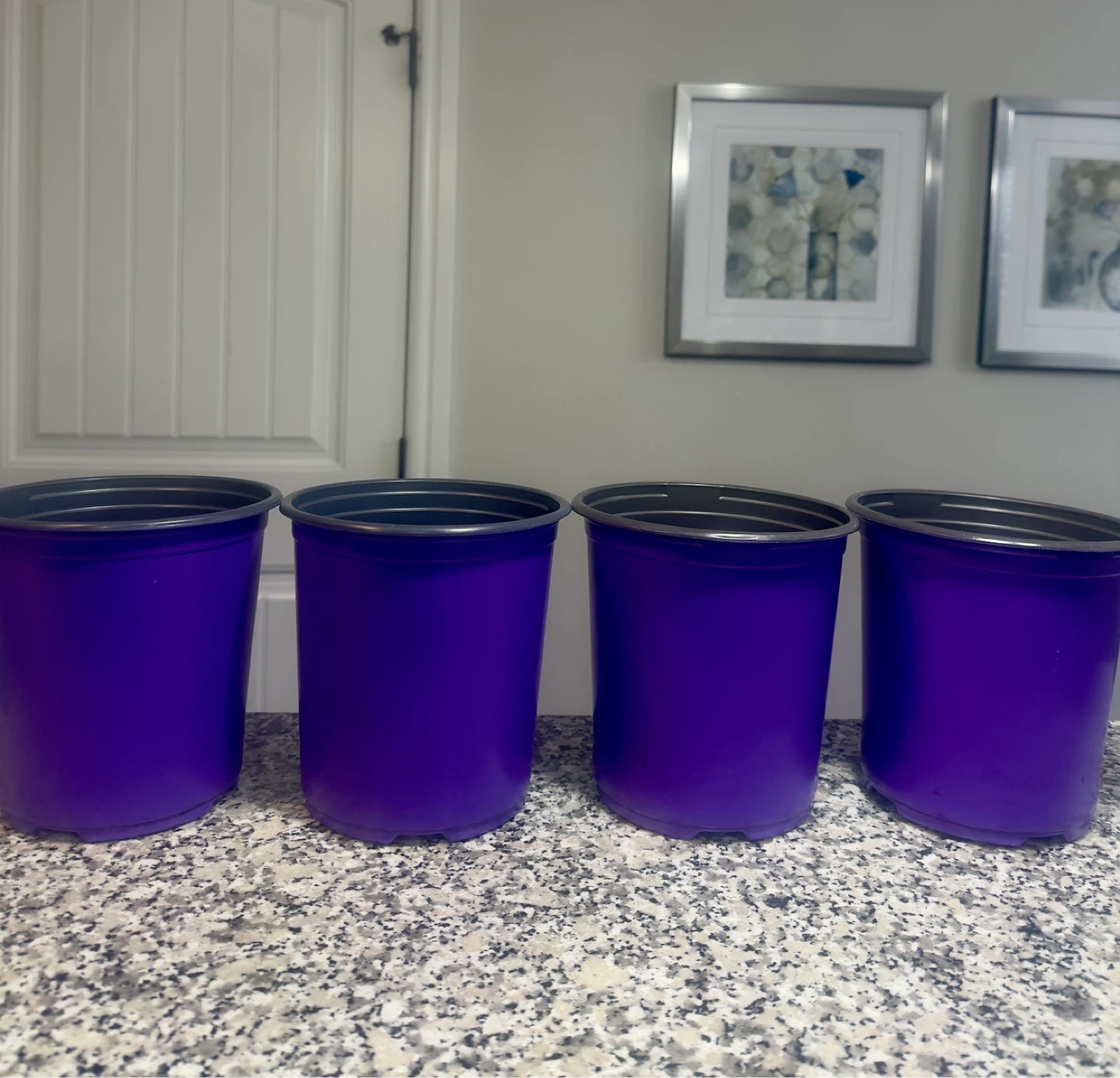 Set of 4 Purple Planter Pots