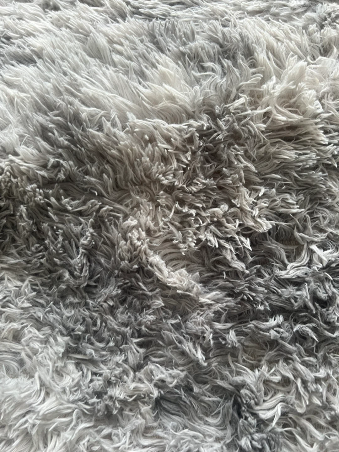 Grey Shag Rug