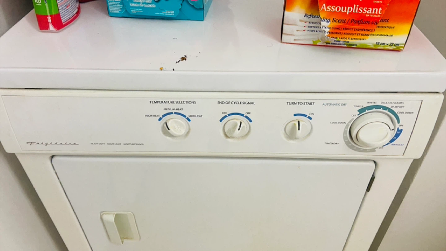 Frigidaire Electric Dryer - photo 2