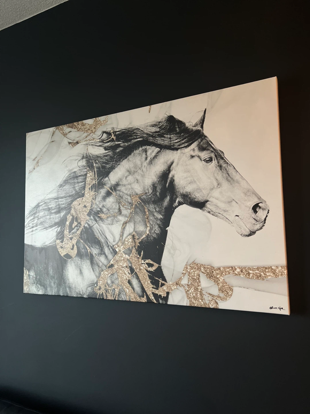 Canvas Wall Art - Horse with Gold Accent