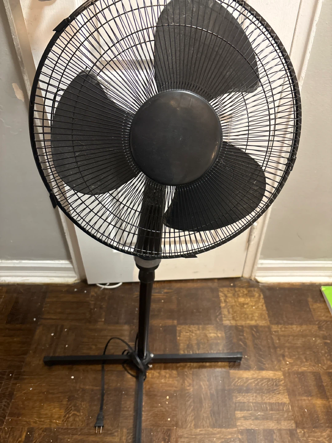 Black Standing Fan