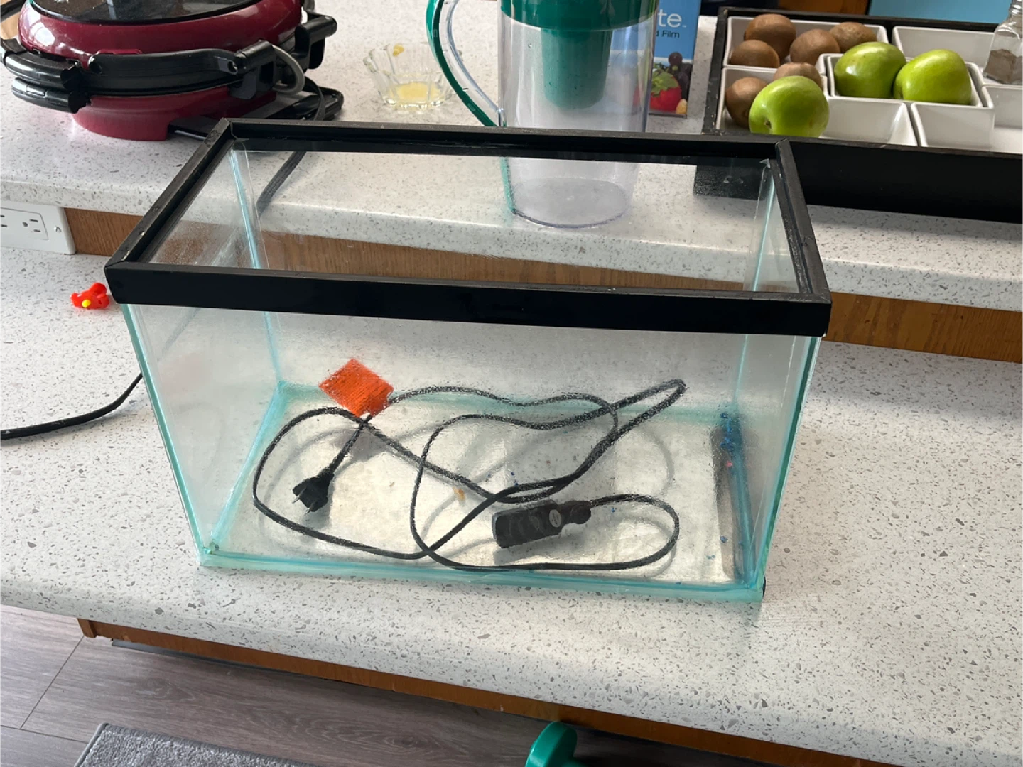 Aquarium Tank with Heater and Filter