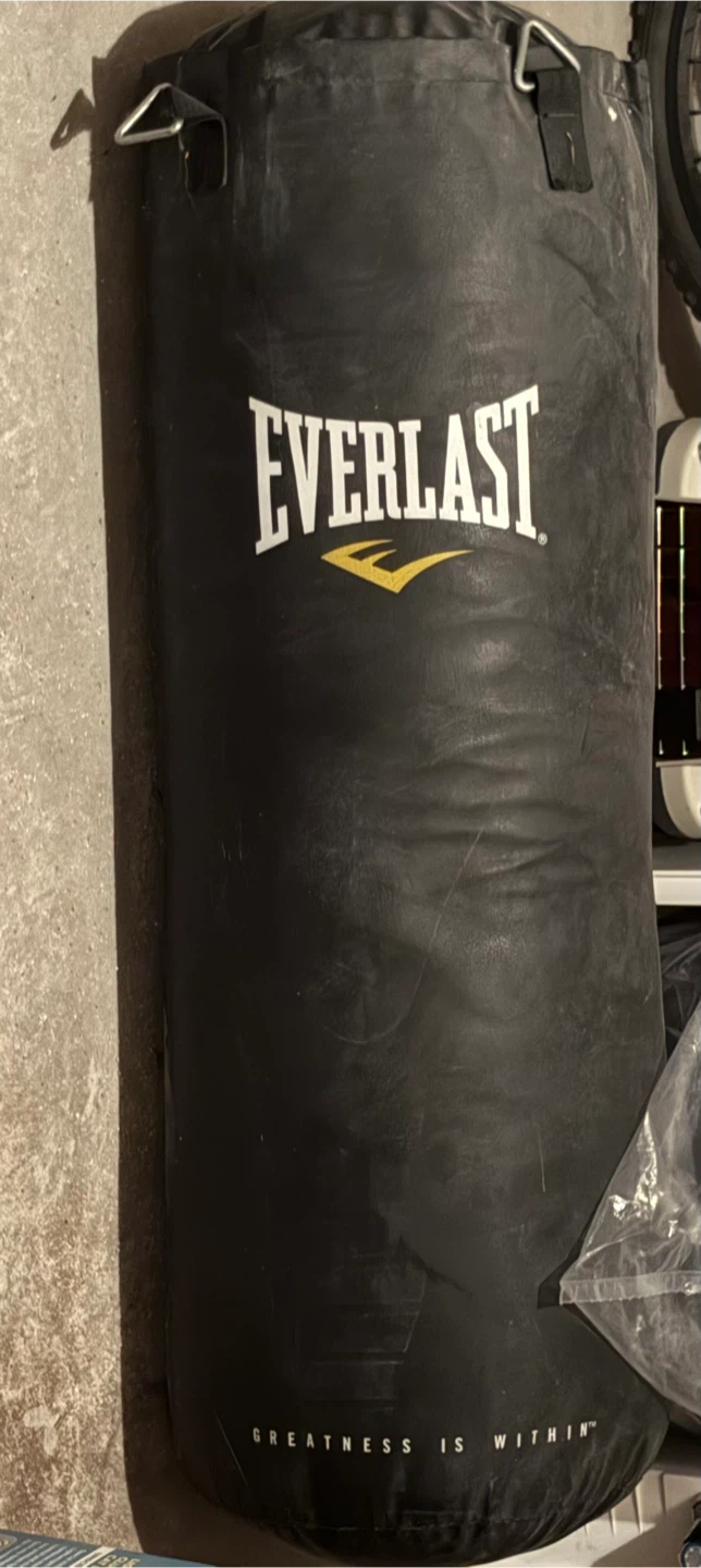 Everlast Hanging Punching Bag Only