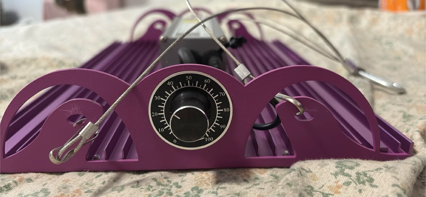 ROY PAM Grow Light - Purple - photo 3