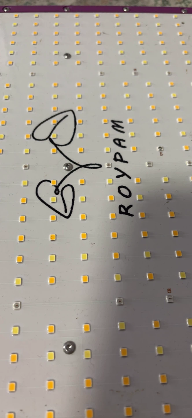 ROY PAM Grow Light - Purple - photo 5