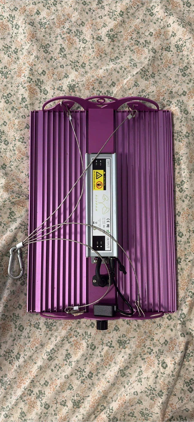 ROY PAM Grow Light - Purple