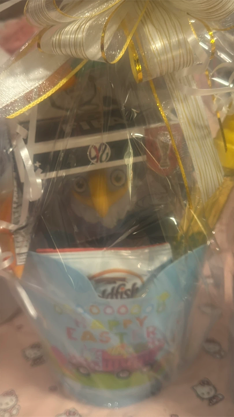 Easter Gift Baskets with Plush Toys and Snacks - photo 3
