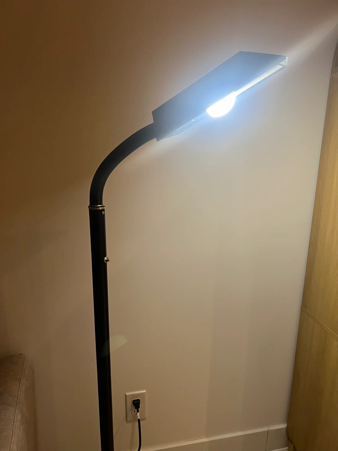 Black Floor Lamp with Adjustable Neck - photo 4