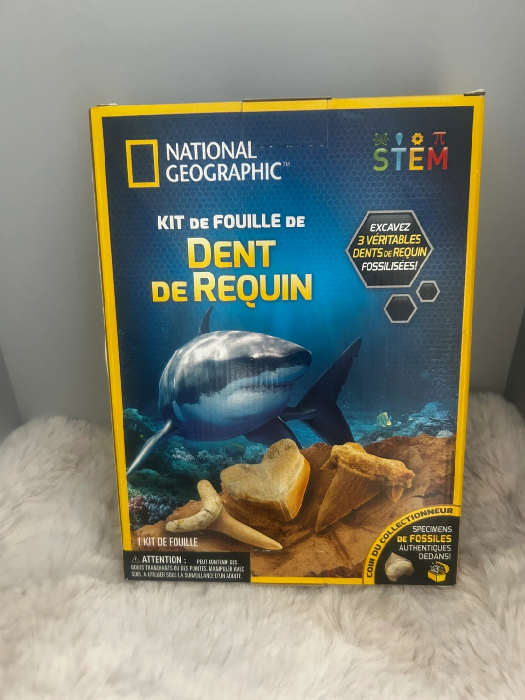 National Geographic Shark Tooth Dig Kit