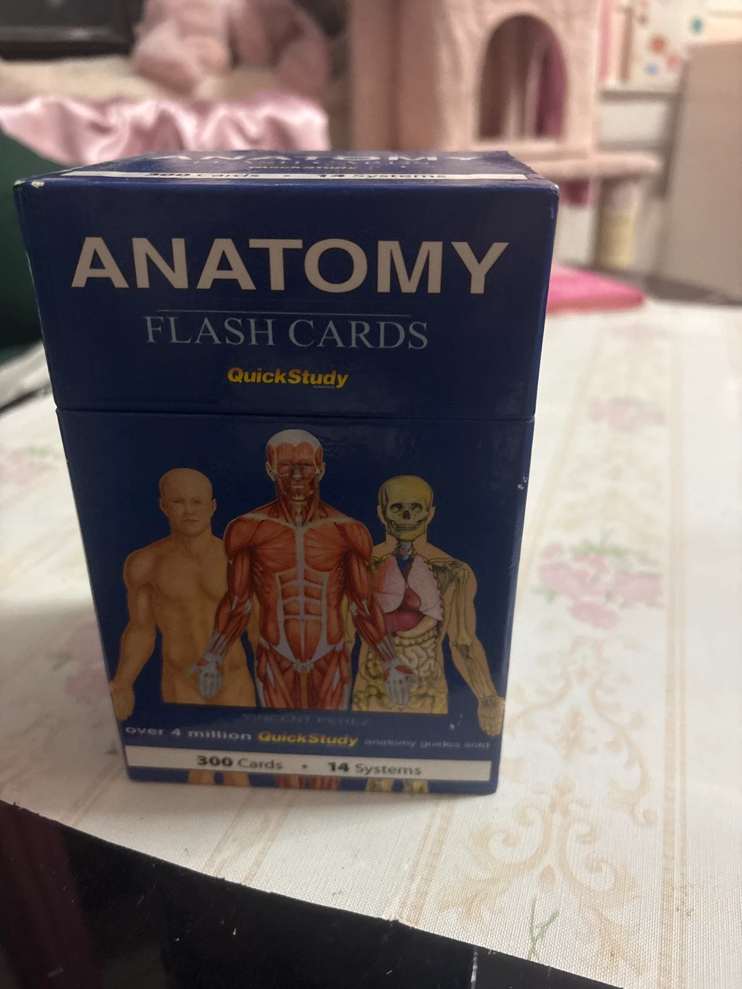 🥕🥕🥕🥕Anatomy Flash Cards 🥕🥕🥕