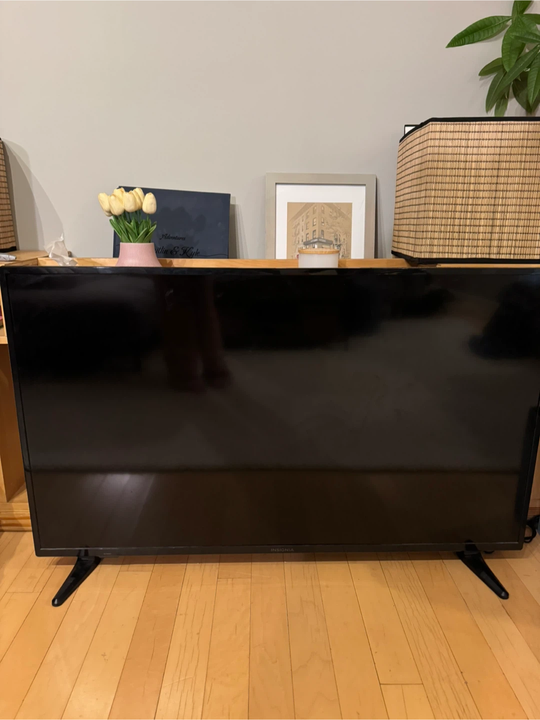 Insignia 50 inch Smart TV