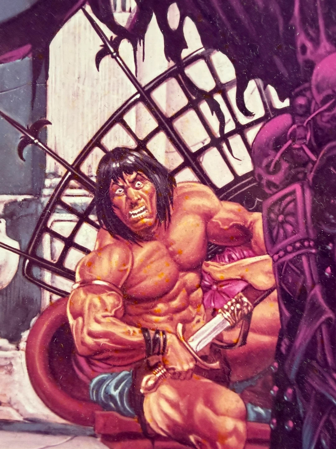 Conan the Barbarian Framed artwork by Joe Jusko - photo 3