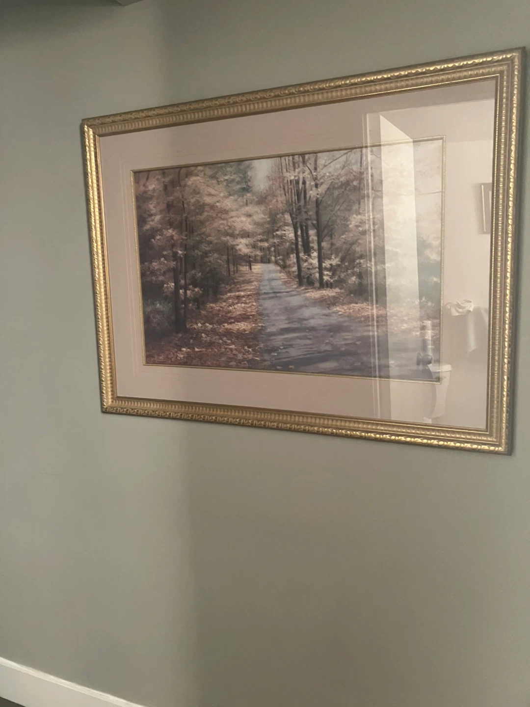 Framed Landscape Print