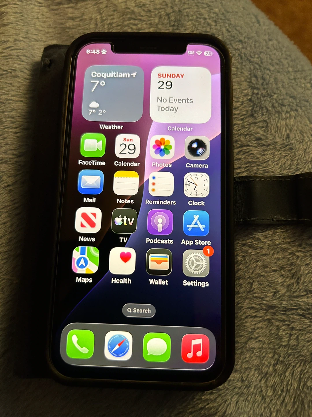 Apple iPhone 12
