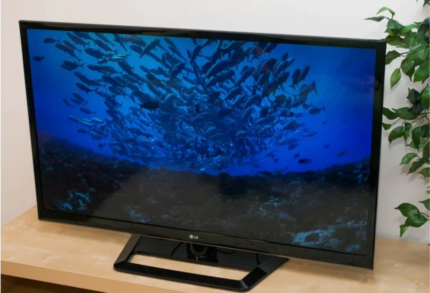 LG 55” TV - photo 2