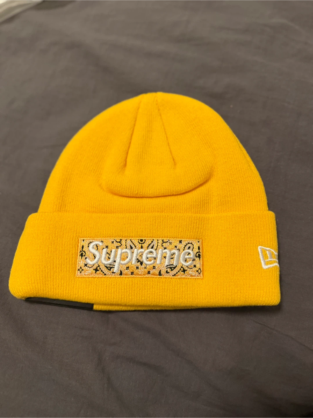 Supreme "World Famous" Beanie
